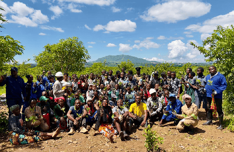Castel Malawi Leads Nationwide Tree Planting Drive